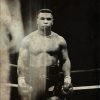 carta_da_parati_industrial_tyson