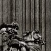 carta_da_parati_classica_shogun_corde_e_statua_equestre
