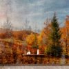 carta_da_parati_floreale_autumn_in_love_torino