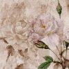 carta_da_parati_floreale_old_roses_torino