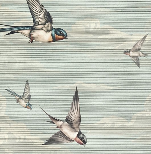 carta_da_parati_classica_a_swallow_does_not_make_spring_torino